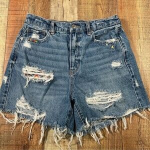 American Eagle Pride Rainbow Denim Cutoff Shorts Embroidered Distressed 8